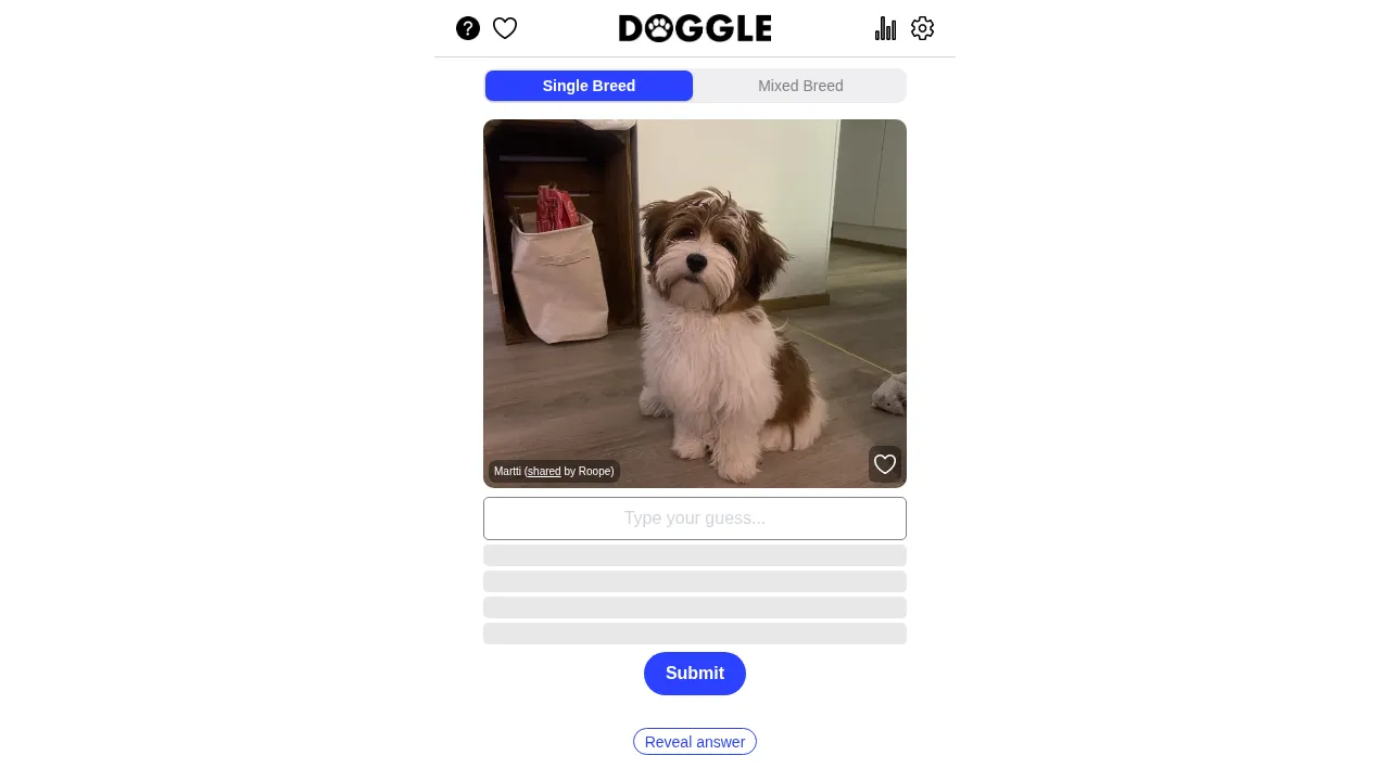 Doggle