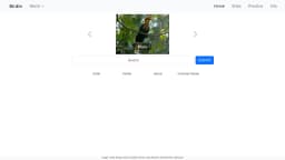 Play Birdle