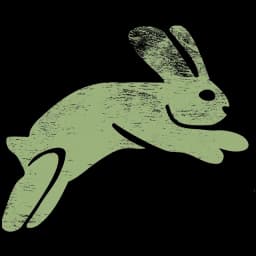 Word Bunny